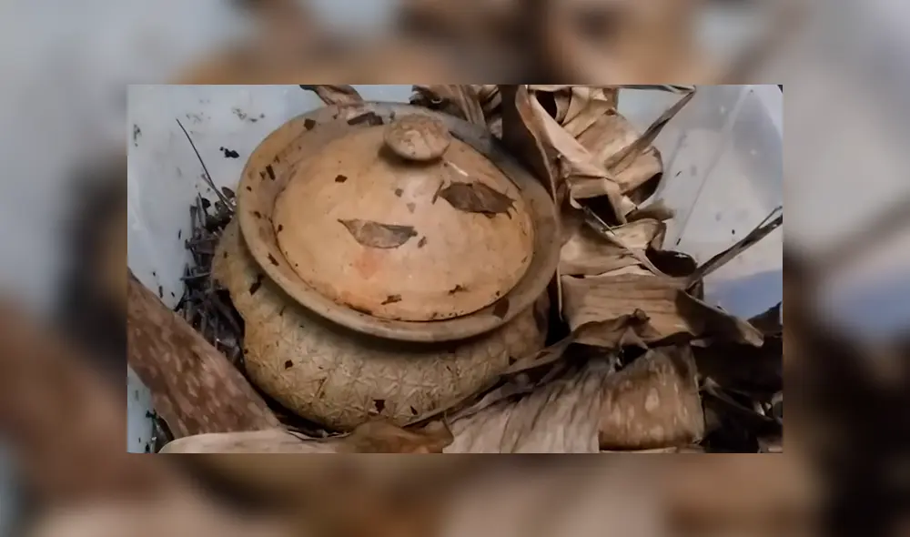 Desliza hacia la izquierda para ver a la gigantesca serpiente que fue hallada dentro de un olla de barro. El video se volvió viral en YouTube.