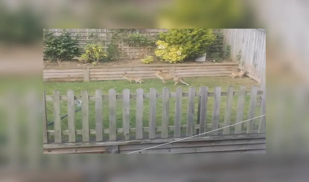 Desliza para ver los detalles del video viral publicado en YouTube. Foto: Captura. Desliza para ver los detalles del video viral publicado en YouTube. Foto: Captura.