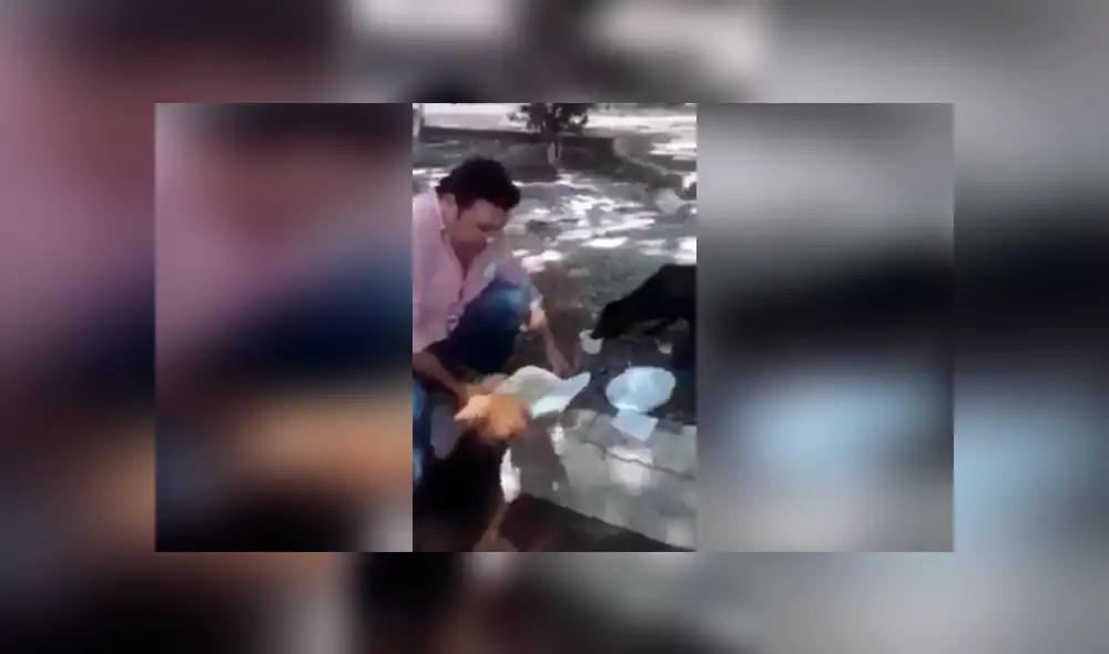 Desliza las imágenes hacia la izquierda para conocer las fechorías que cometieron dos perros callejeros. Foto: Captura.