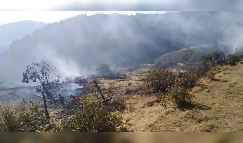 Junín: Bomberos atienden 19 incendios forestales [FOTOS]