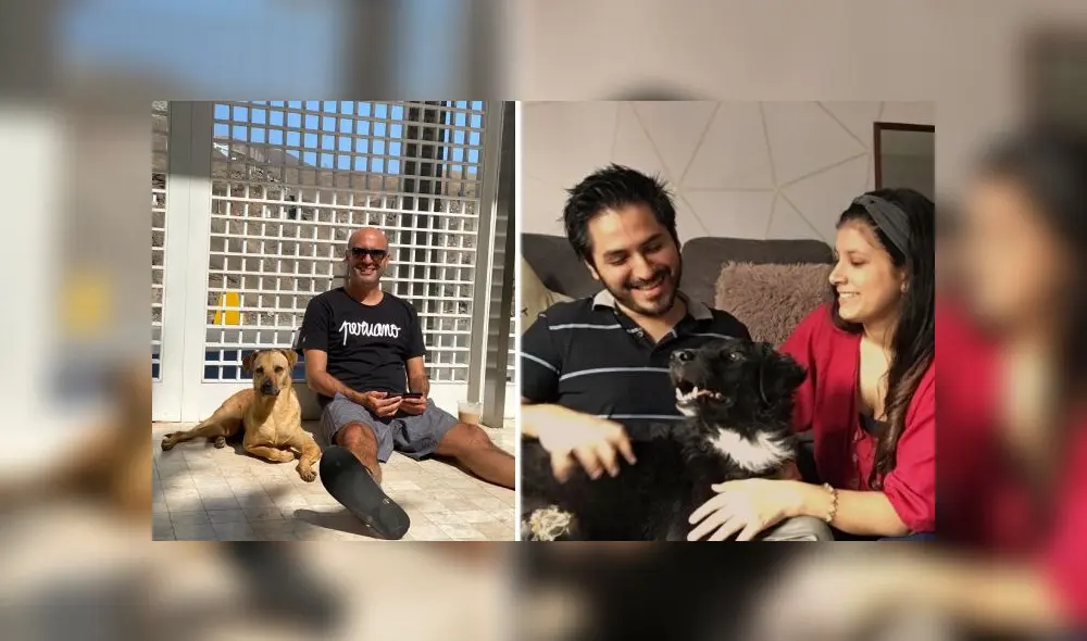 Testimonios demuestran por qué varios deciden adoptar durante el aislamiento social. Foto: WhatsApp.