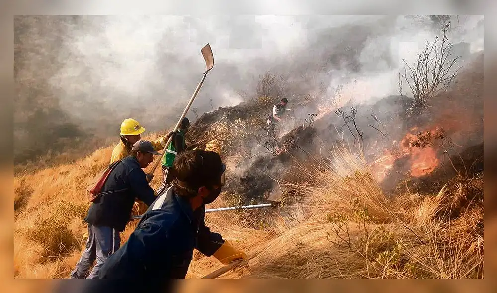 ardua labor. Brigadas y comuneros de Cusco realizan donados esfuerzos para controlar el incendio forestal.