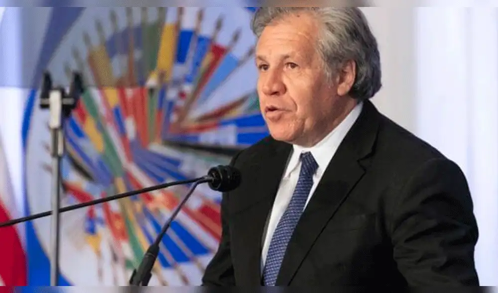 OEA presenta 'ley modelo' para reducir el feminicidio y violencia de género OEA presenta 'ley modelo' para reducir el feminicidio y violencia de género
