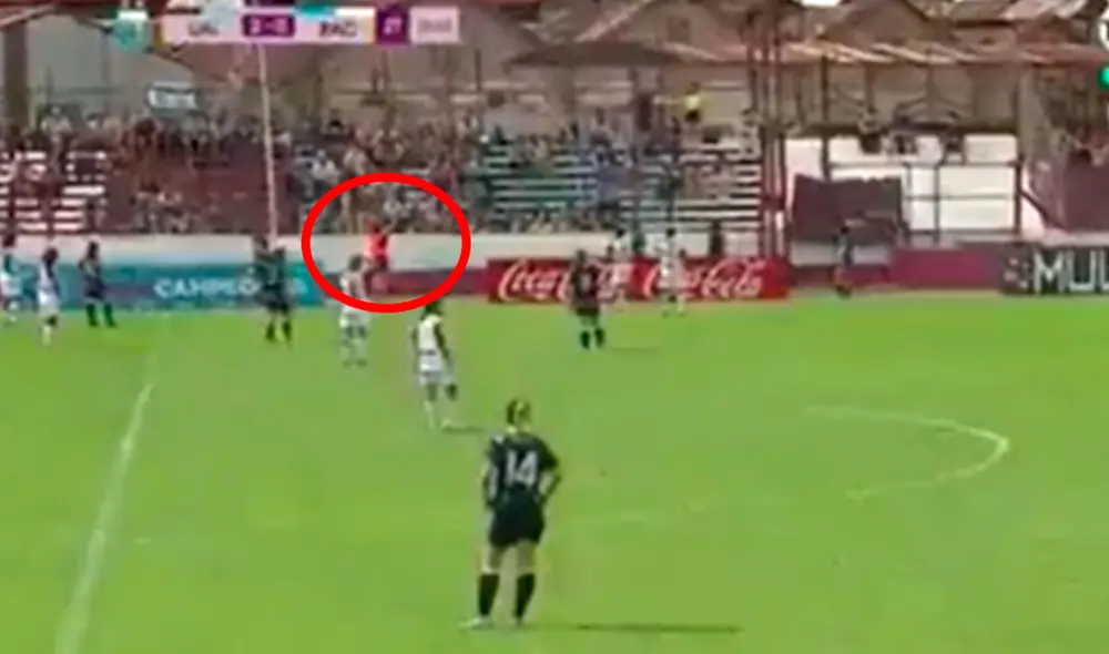 Árbitra expulsa a hincha de la tribuna por insultarla. Árbitra expulsa a hincha de la tribuna por insultarla.