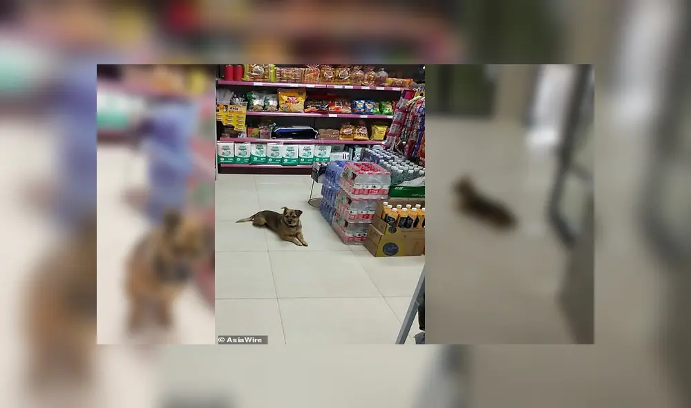 Desliza para ver los detalles de esta historia que se viralizó en Facebook. Foto: Captura.