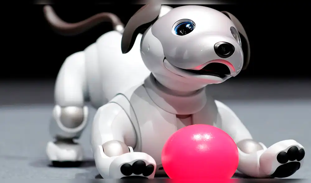 Aibo, el perro robot que realiza las tareas más increíbles [FOTOS]
