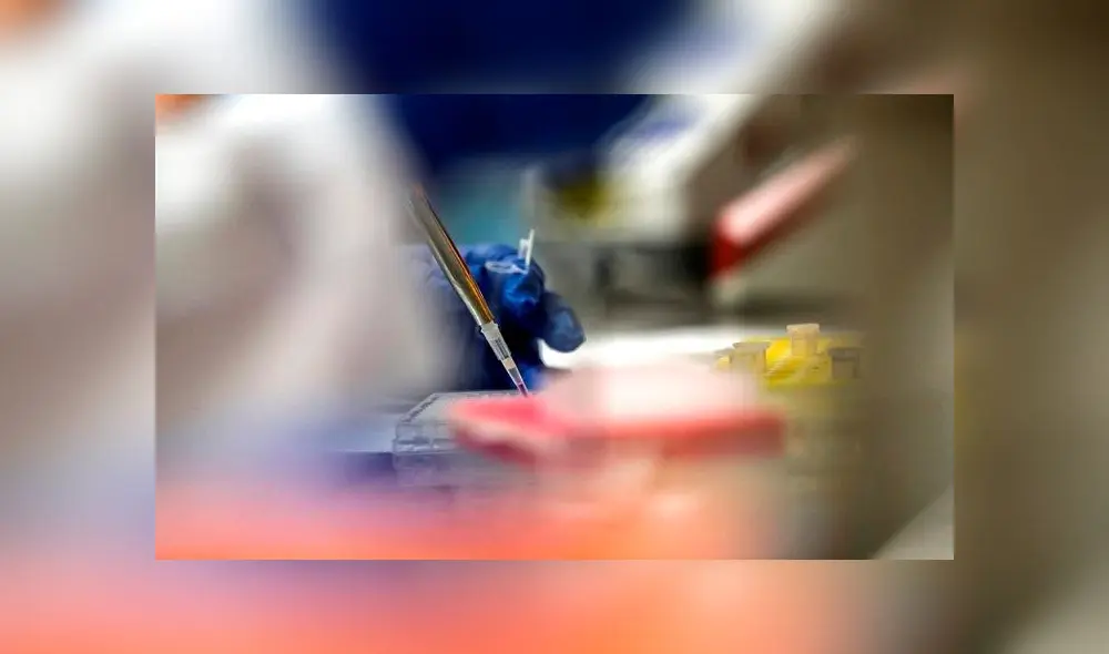 Detalle del trabajo de una científica en un laboratorio, en medio de la pandemia del coronavirus. Foto: EFE Detalle del trabajo de una científica en un laboratorio, en medio de la pandemia del coronavirus. Foto: EFE