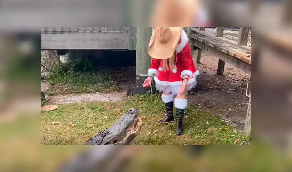 Desliza hacia la izquierda para ver el encuentro de 'mamanuela' con un cocodrilo, escena que es viral en YouTube.