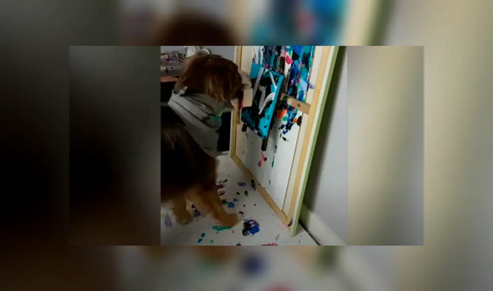 Desliza las imágenes hacia la izquierda para observar las increíbles habilidades de un perro en el arte. Foto: Caters Clips. Desliza las imágenes hacia la izquierda para observar las increíbles habilidades de un perro en el arte. Foto: Caters Clips.