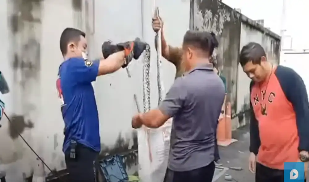 Desliza hacia la izquierda para ver las imágenes del video viral. Foto: Captura de YouTube.