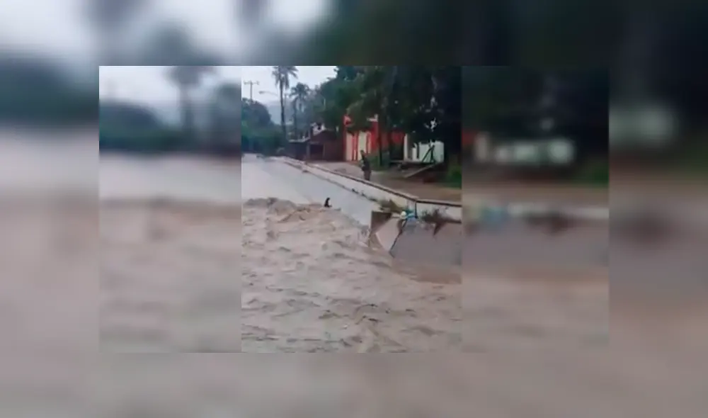 En YouTube, un chico se lanzó a un peligroso río para salvar a un perro callejero que suplicaba por ayuda. En YouTube, un chico se lanzó a un peligroso río para salvar a un perro callejero que suplicaba por ayuda.