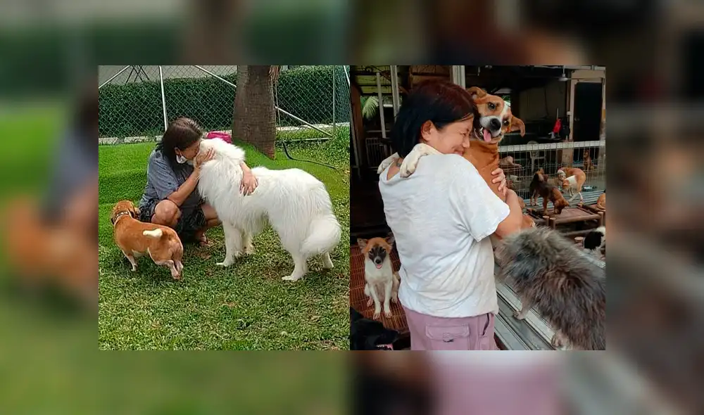 Somali, que dedica gran parte del día a analizar pruebas de COVID-19, salva a los perros callejeros de Indonesia. Foto: Instagram