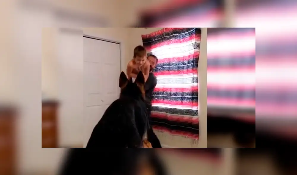 En Facebook, un perro quería unirse a la diversión de su dueño con su menor hijo para que lo carguen.