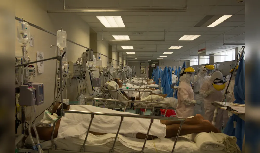 El tratamiento sería probado en humanos dentro de unas semanas. (Foto: John Reyes / La República) El tratamiento sería probado en humanos dentro de unas semanas. (Foto: John Reyes / La República)