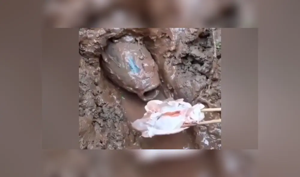 Desliza hacia la izquierda para ver la extraña pesca que hizo un joven tailandés.  Imágenes de Facebook.