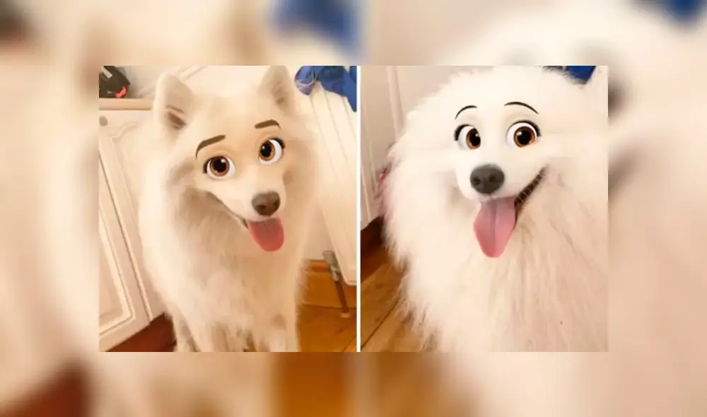 Snapchat estrena tierno filtro para perros que los convierte en personajes de Disney. Foto: Ladbible.