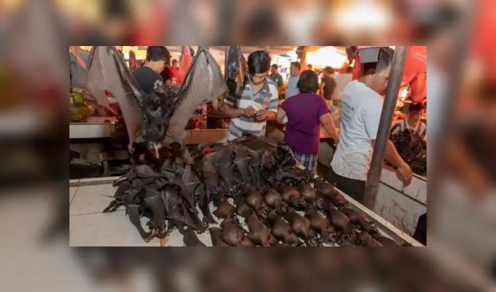 El mercado ofrece carne de murciélago a los restaurantes. Fuente: Rex Features. El mercado ofrece carne de murciélago a los restaurantes. Fuente: Rex Features.