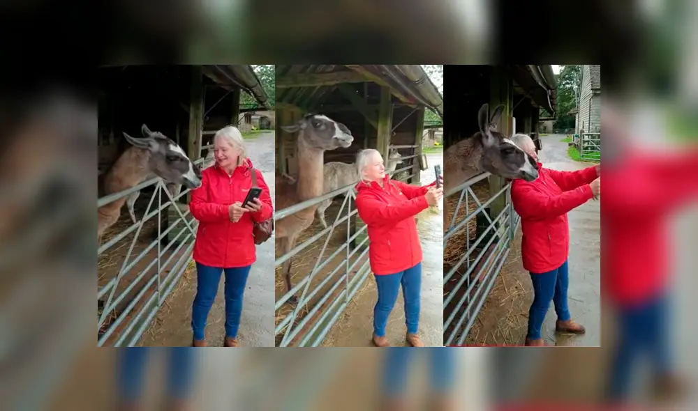 YouTube viral: mujer intenta tomarse ‘selfie’ con llama y esta ‘posa’ para salir bien en la fotografía