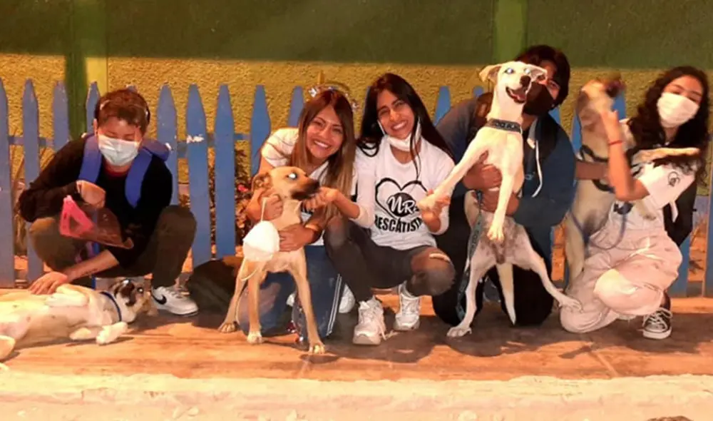 Desliza hacia la izquierda para ver más imágenes de estos perritos que fueron rescatados. Foto: Facebook Desliza hacia la izquierda para ver más imágenes de estos perritos que fueron rescatados. Foto: Facebook