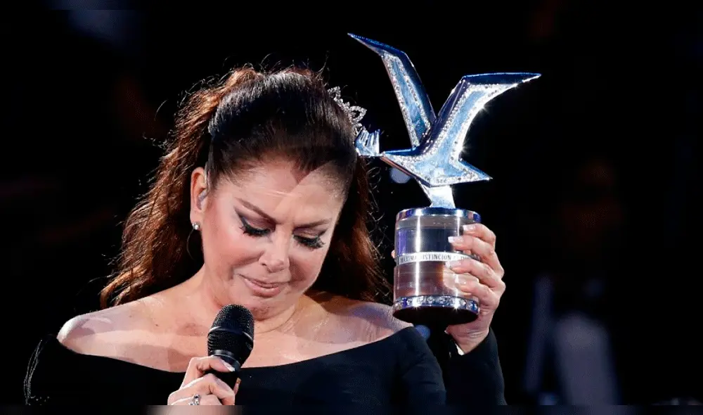 Conoce la diferencia entre la Gaviota de Oro, Plata y Platino de Viña del Mar