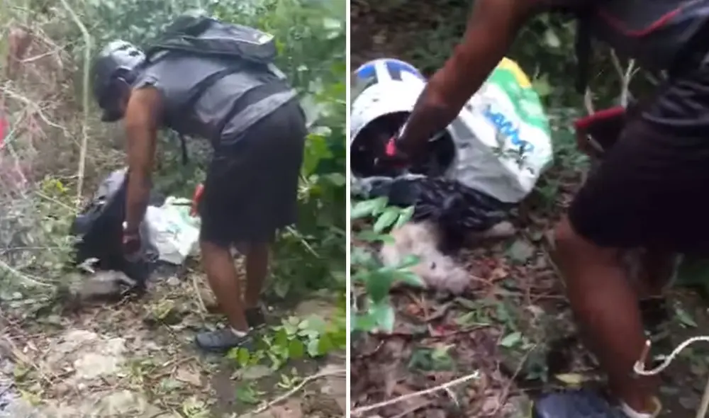 El can se encontraba con el hocico amarrado, por lo que no podía ladrar ni beber un poco de agua. Foto: captura de Facebook