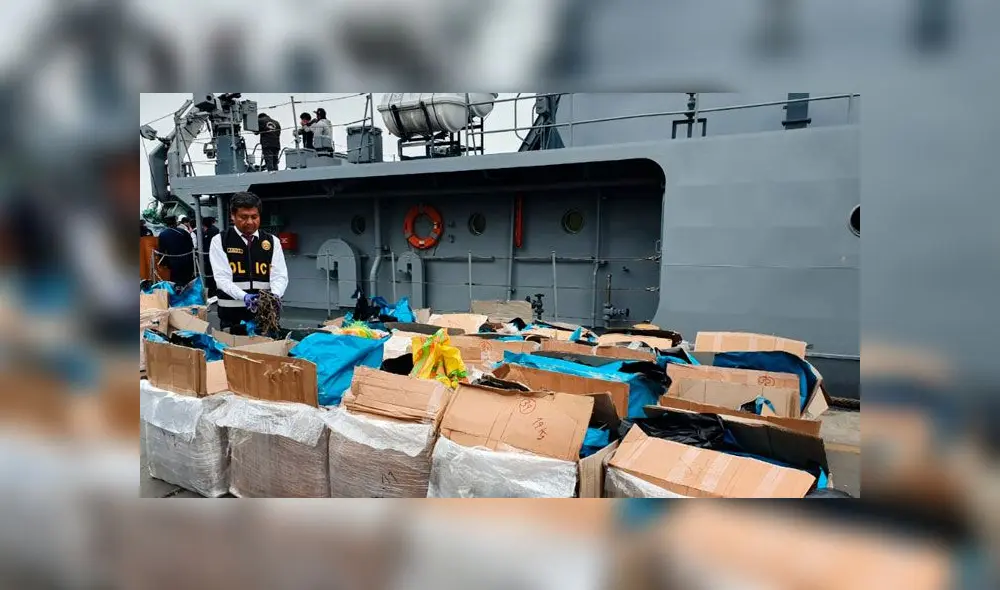 Incautan 55 cajas con caballitos de mar disecados. Créditos: Difusión. Incautan 55 cajas con caballitos de mar disecados. Créditos: Difusión.