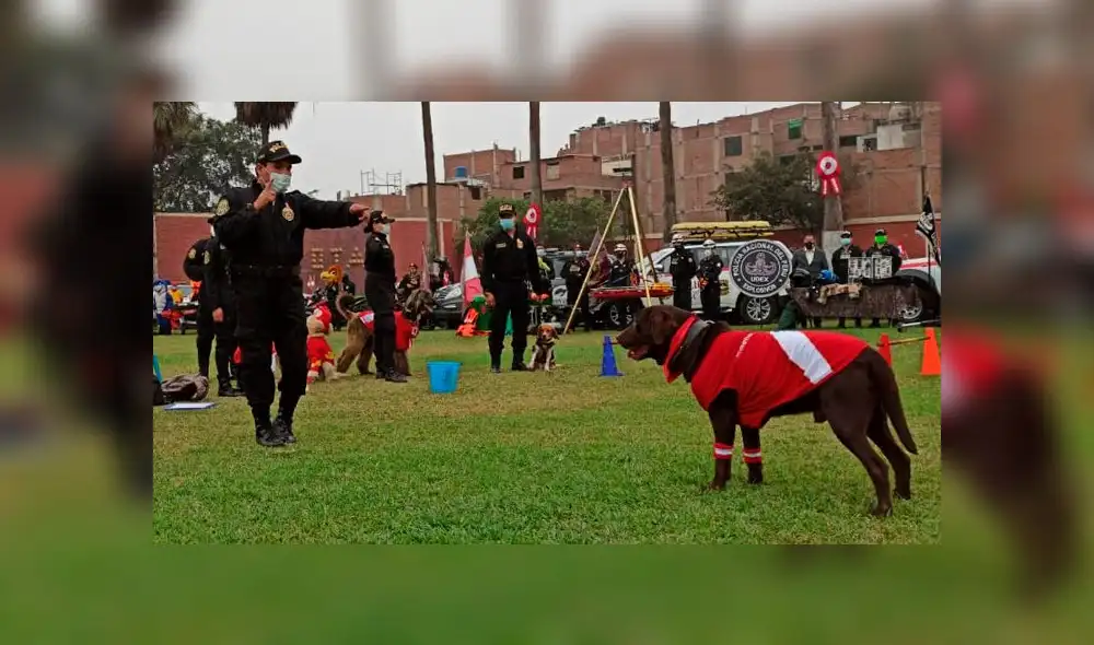 Foto: María Pía Ponce/ URPI-GLR.