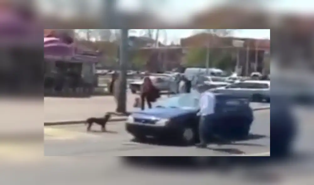 Vía YouTube: perro callejero le da terrible lección a chofer que le toca el claxon [VIDEO]
