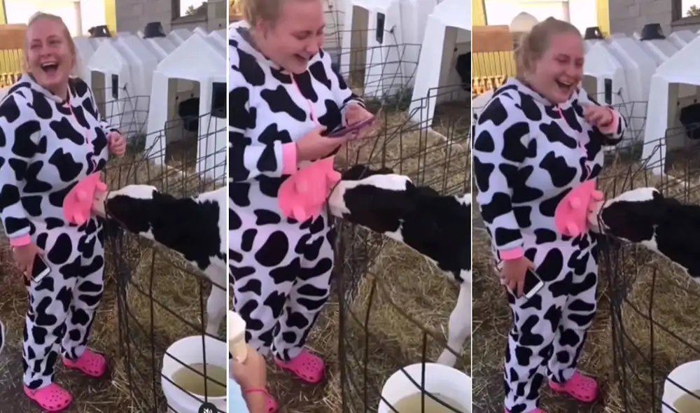 Miles de usuarios se sorprendieron al ver esta singular escena. Foto: composición LR/TikTok/@hansheff Miles de usuarios se sorprendieron al ver esta singular escena. Foto: composición LR/TikTok/@hansheff