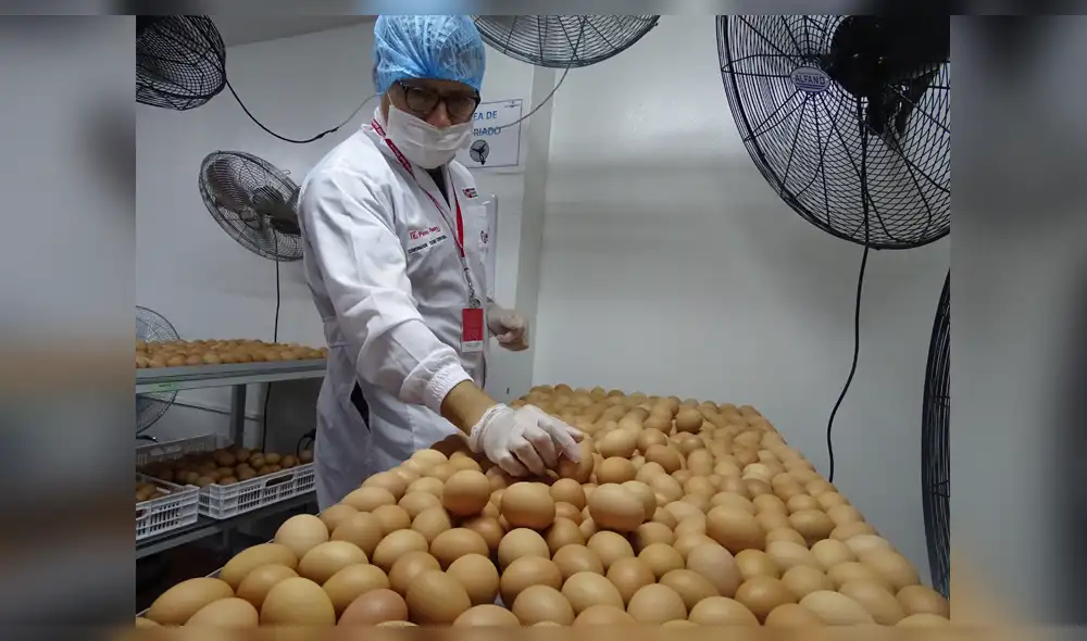 Supervisión de productos se hace en estricto control. Supervisión de productos se hace en estricto control.