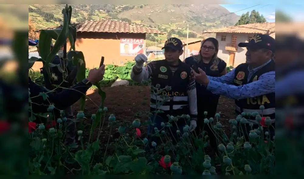 El dueño de la propiedad fue acusado del delito de tráfico ilícito de drogas.