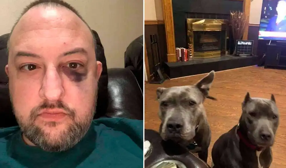 Rober publicó las fotografías de las mascotas que salvaron su vida. Foto: Captura/Twitter/@banpercie Rober publicó las fotografías de las mascotas que salvaron su vida. Foto: Captura/Twitter/@banpercie