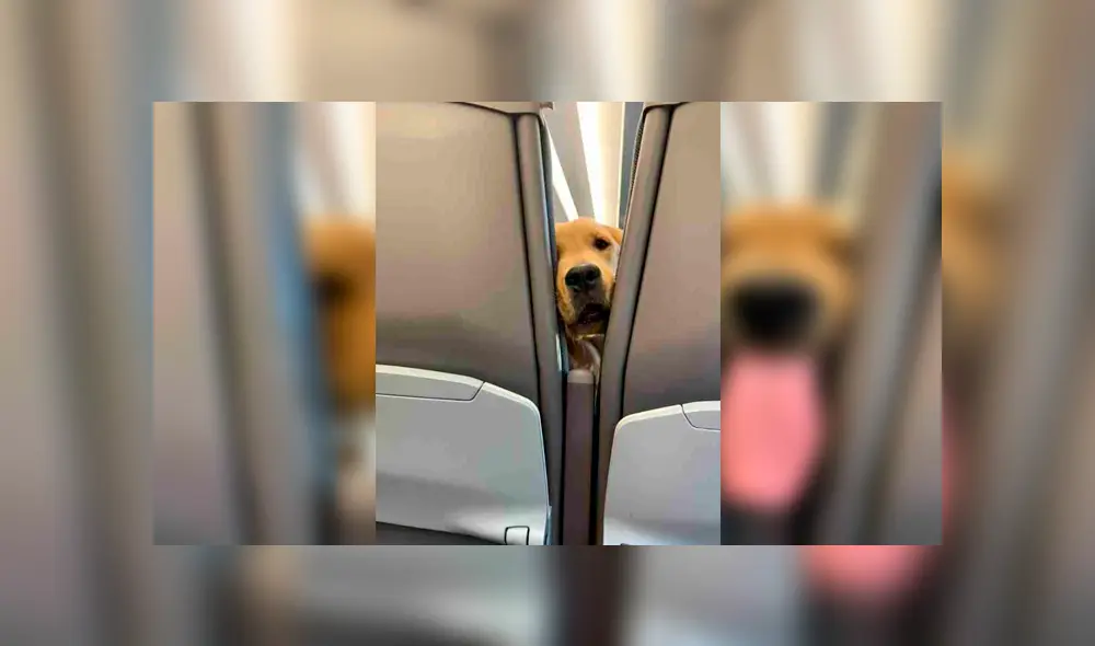 Desliza para ver los detalles de esta historia viral de Facebook. Foto: Captura. Desliza para ver los detalles de esta historia viral de Facebook. Foto: Captura.