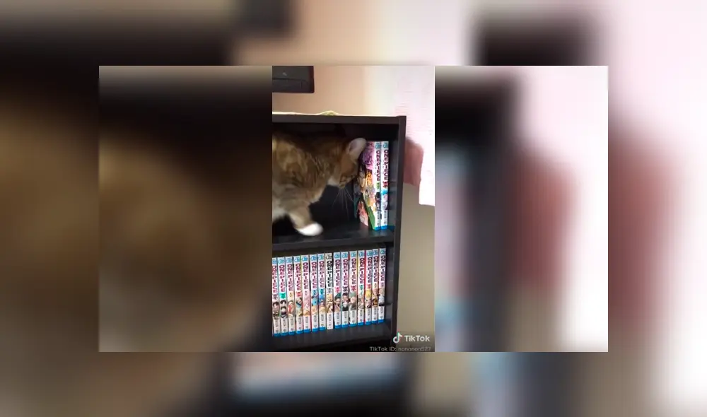 Desliza a la izquierda para ver el nuevo viral de Facebook que ha hecho reír a miles de usuarios. Foto: Captura.