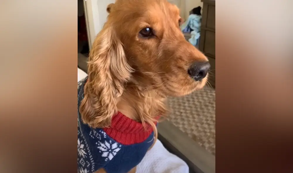 Desliza hacia la izquierda para ver las imágenes del video viral. Foto: captura de Facebook. Desliza hacia la izquierda para ver las imágenes del video viral. Foto: captura de Facebook.