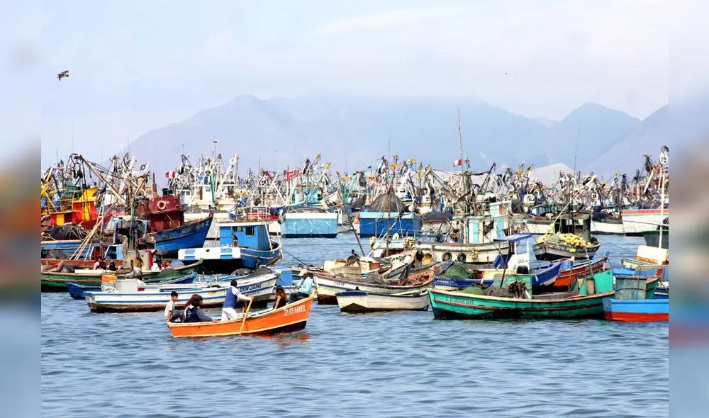 Pescador artesanal vs. pesca artesanal