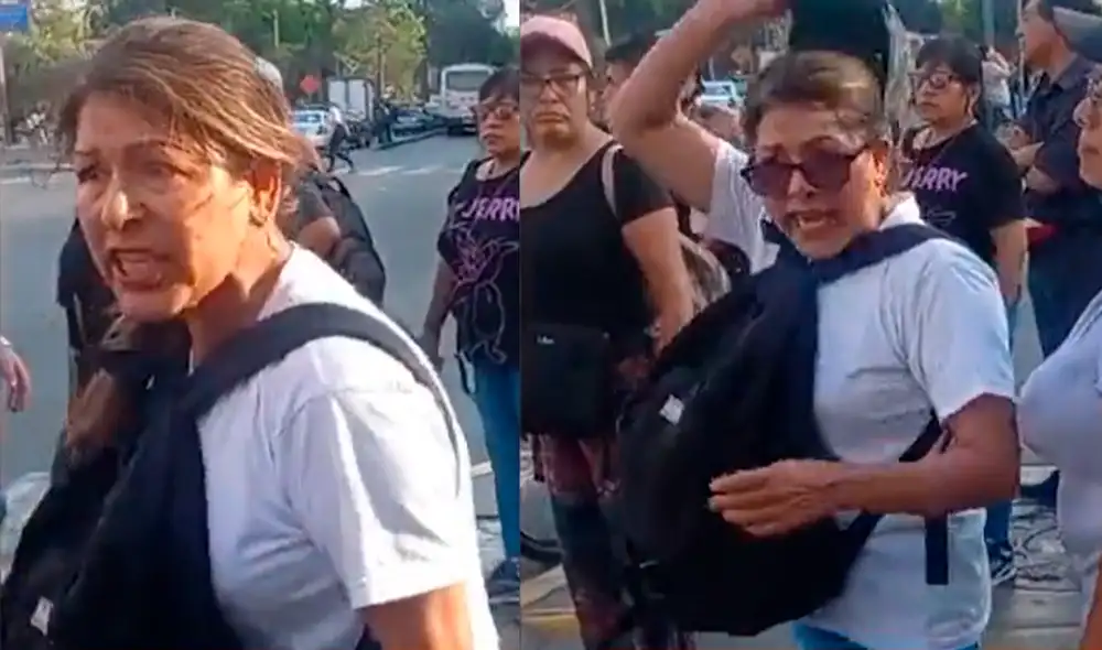 La mujer sostuvo una acalorada discusión con protestantes en el Centro de Lima. Foto: difusión Twitter