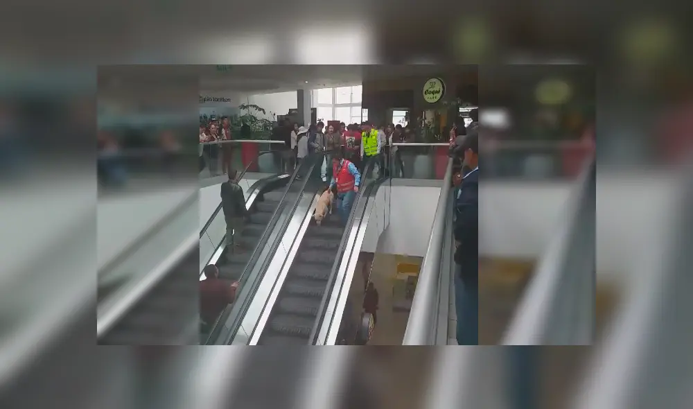 Peruano grabó el curioso momento en el que personal de seguridad de Real Plaza ayuda a un temeroso perro a bajar del segundo piso Peruano grabó el curioso momento en el que personal de seguridad de Real Plaza ayuda a un temeroso perro a bajar del segundo piso
