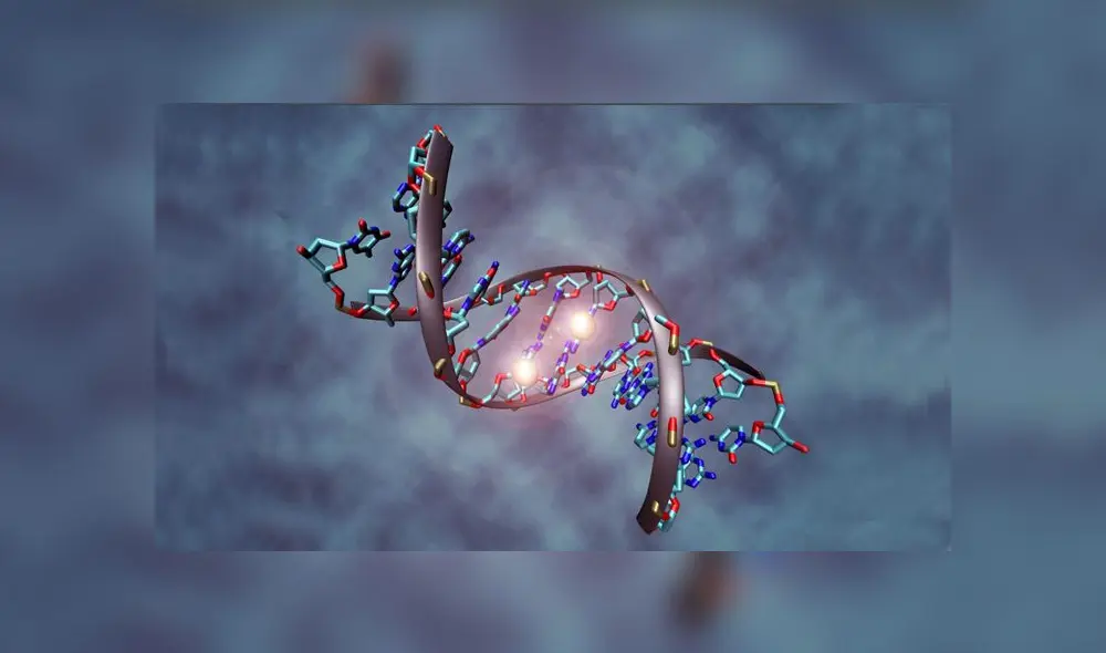 Un estudio publicado en mayo reveló que un fragmento genético está asociado con la gravedad del coronavirus. Foto: referencial / EFE