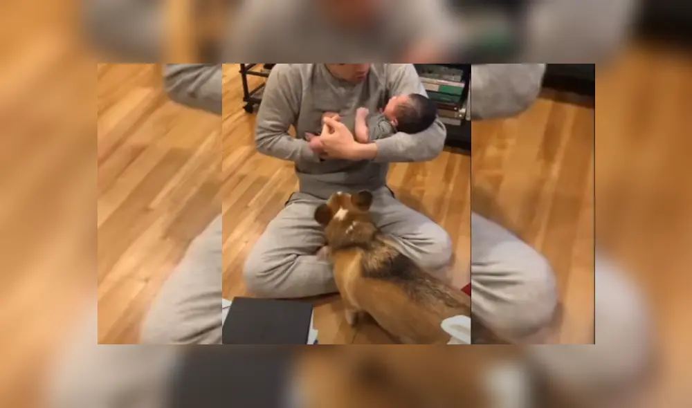 Desliza hacia la izquierda para ver más del video viral Desliza hacia la izquierda para ver más del video viral