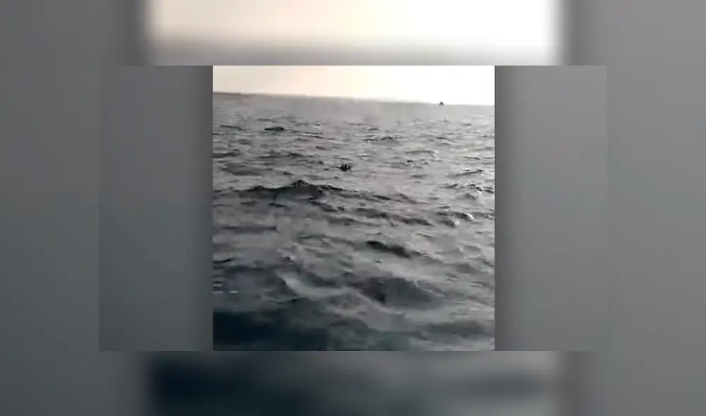 Pescadores logran rescatar a un perro que nadaba y luchaba por su vida en mar abierto [VIDEO]