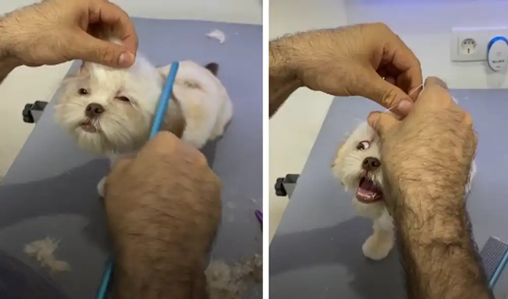 Desliza hacia la izquierda para ver las imágenes del video viral. Foto: captura de Facebook. Desliza hacia la izquierda para ver las imágenes del video viral. Foto: captura de Facebook.