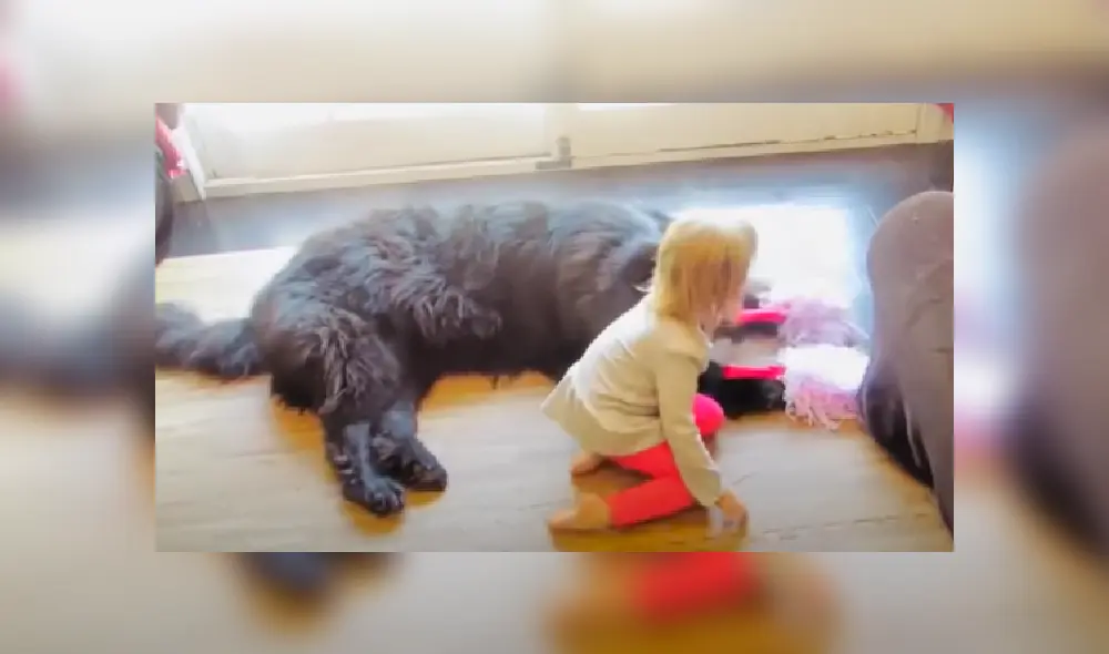 Desliza las imágenes para ver más detalles sobre este tierna escena.