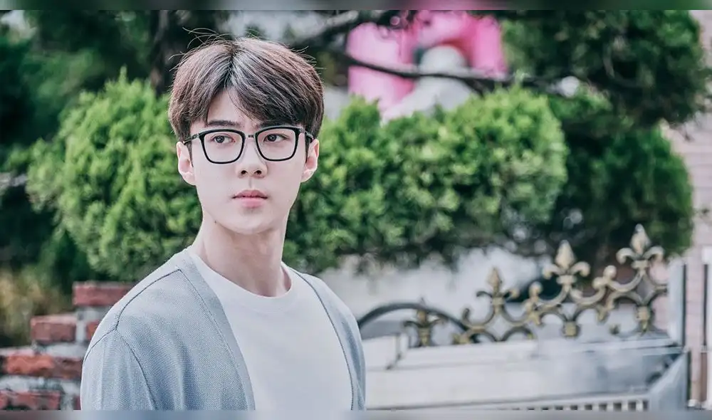 Sehun en Dokgo Rewind (2018). Foto: Oksusu