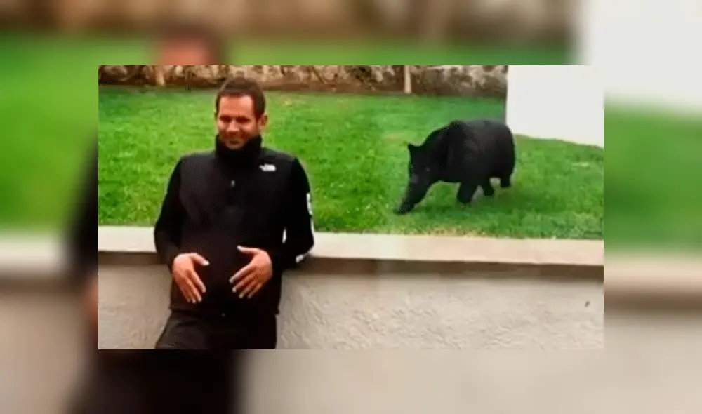 YouTube viral: implacable pantera aparece sigilosamente y sorprende por la espalda a su cuidador [VIDEO]