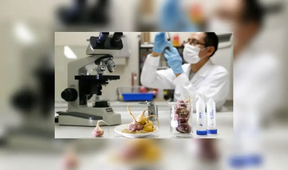 Conoce las cifras de la Investigación y el Desarrollo en el Perú