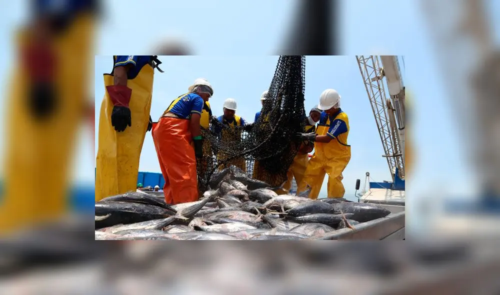 Niño Costero: Estas son las medidas del Gobierno para reactivar el agro y la pesca Niño Costero: Estas son las medidas del Gobierno para reactivar el agro y la pesca
