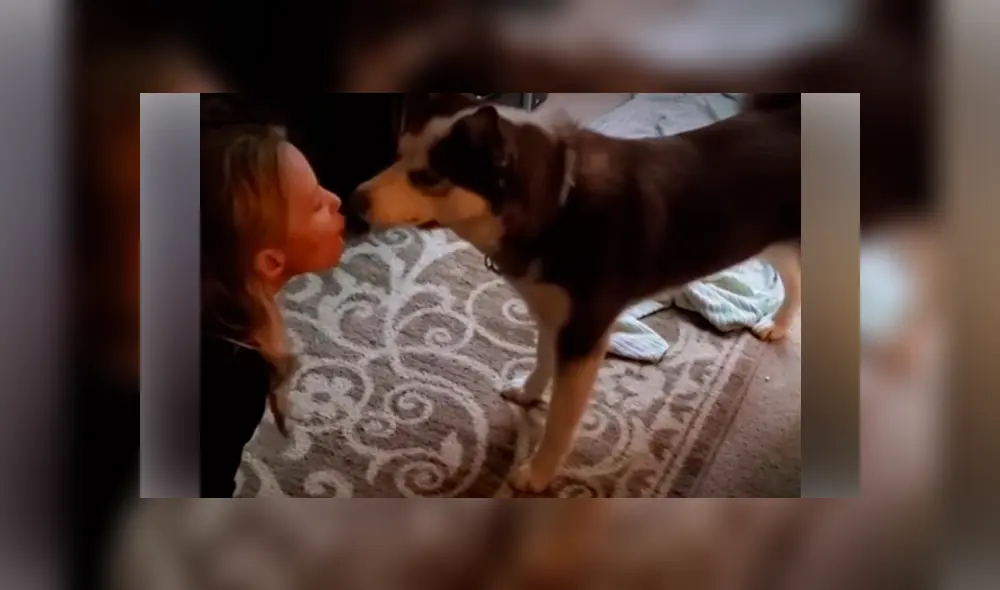 Desliza hacia la izquierda para ver las imágenes del viral de YouTube. Desliza hacia la izquierda para ver las imágenes del viral de YouTube.