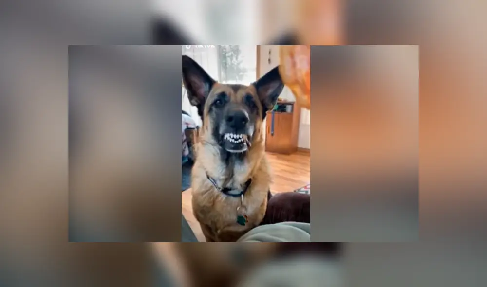 Desliza hacia la izquierda para ver las imágenes del viral de YouTube. Foto: Captura. Desliza hacia la izquierda para ver las imágenes del viral de YouTube. Foto: Captura.