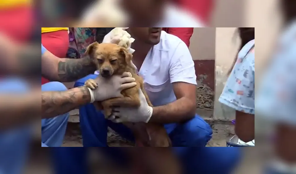 Un grupo de especialistas acudió a la zona del siniestro para atender a los afectados. Un grupo de especialistas acudió a la zona del siniestro para atender a los afectados.